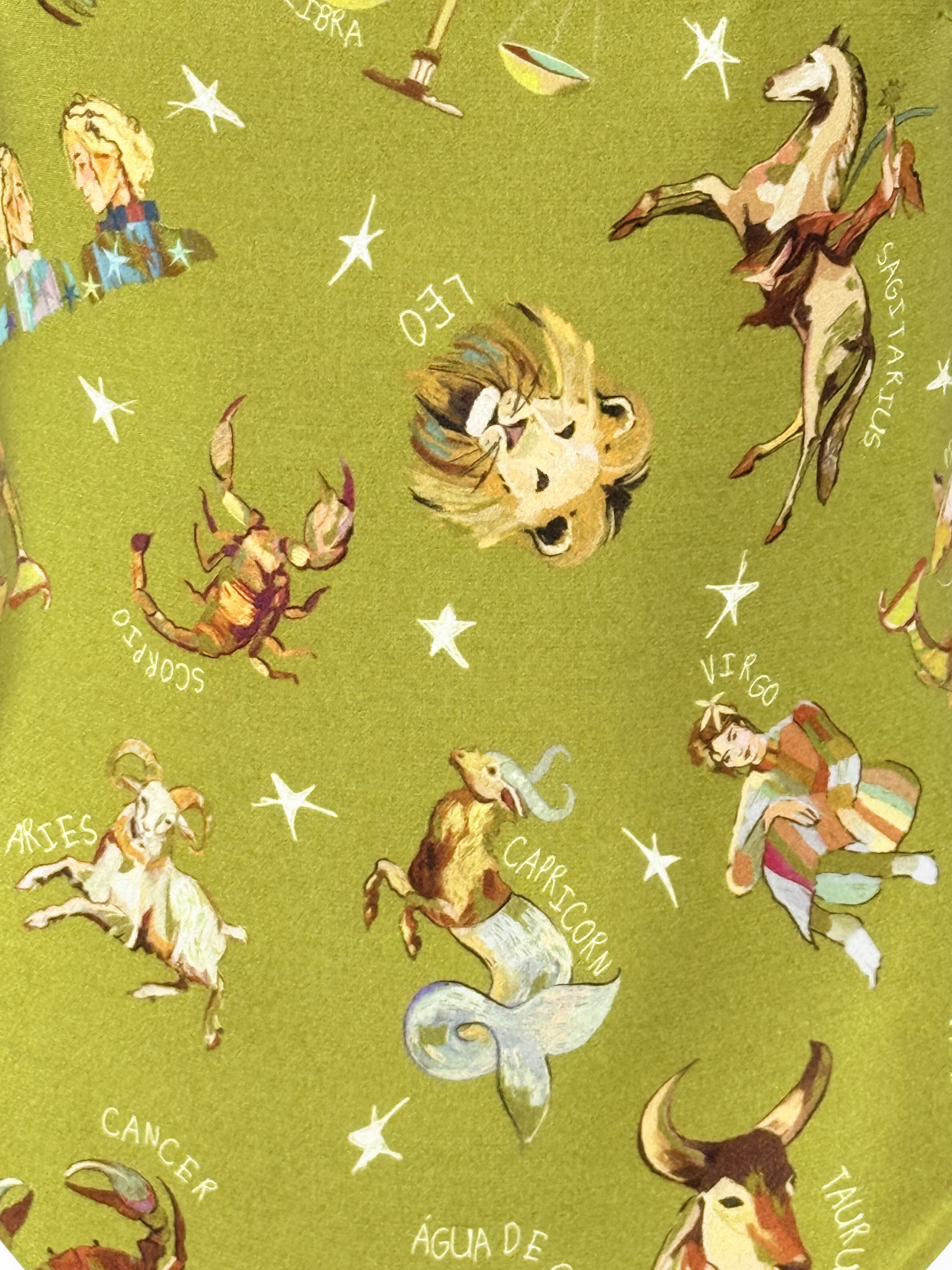 Agua de Coco, Costume Intero Zodiaco